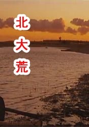 高清蓝光在线观看