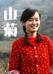 BD高清免费观看