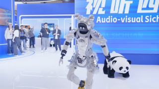 正片